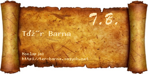 Tér Barna névjegykártya